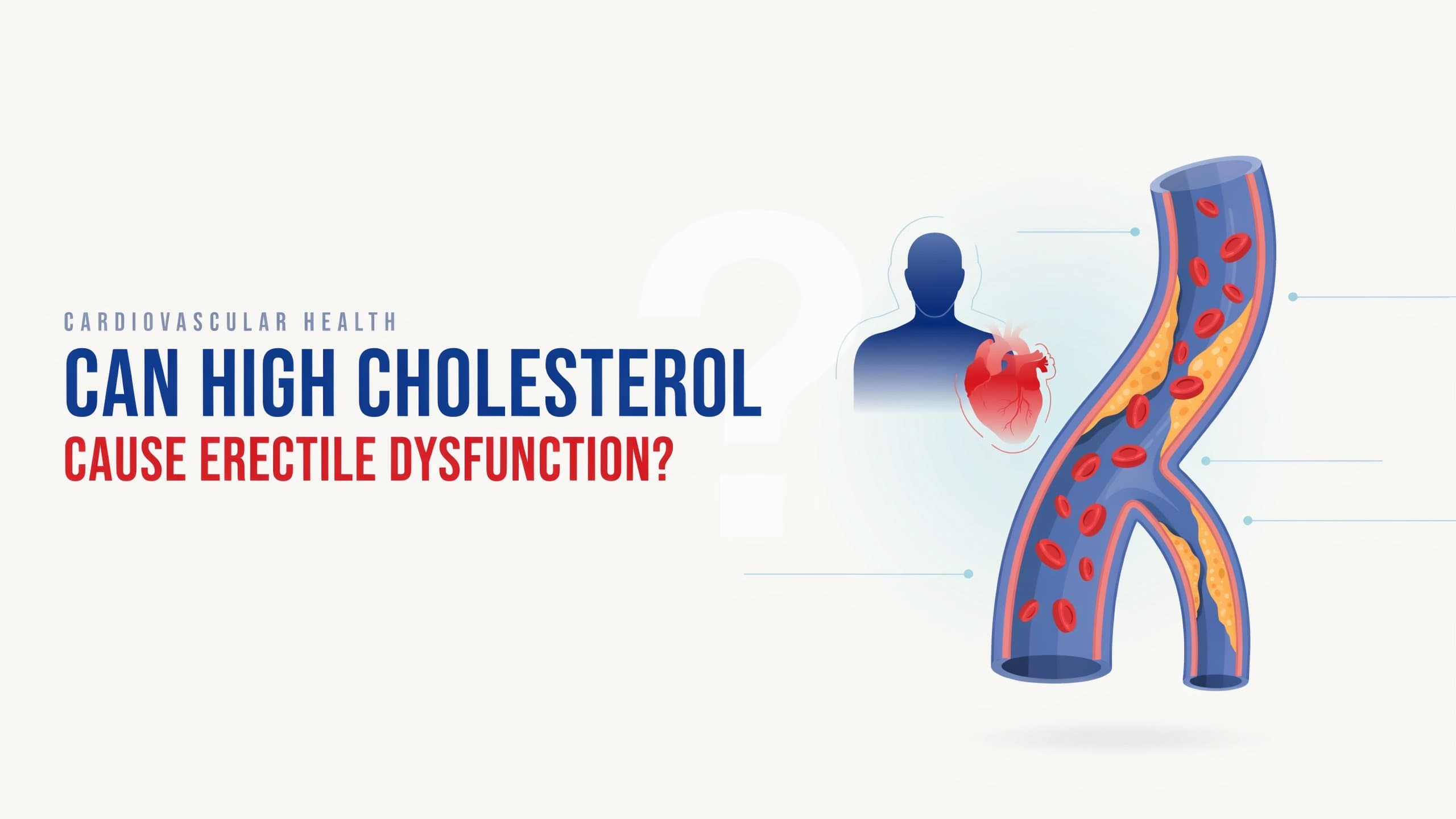 Can High Cholesterol Cause Erectile Dysfunction?